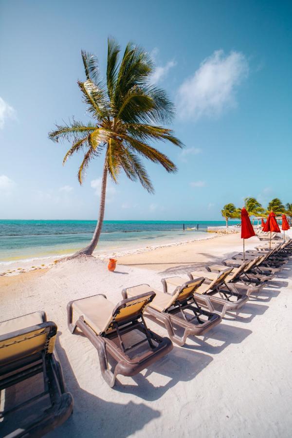 فندق Grand Caribe Belize سان بيدرو المظهر الخارجي الصورة